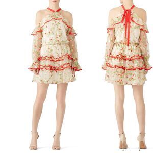 Alexis | Ivory Floral Adaline Mini Dress